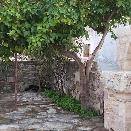 Small Traditional House In Asfendiou Kos Agios Dimitrios  Exteriér fotografie