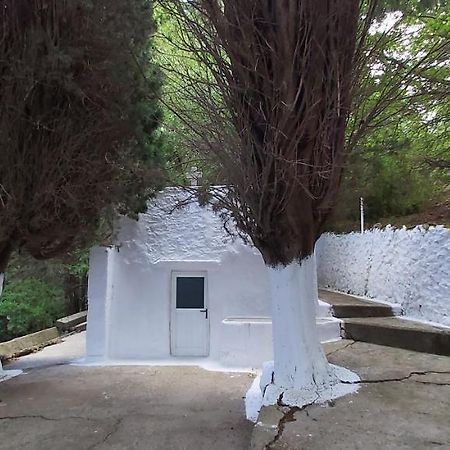Small Traditional House In Asfendiou Kos Agios Dimitrios  Exteriér fotografie