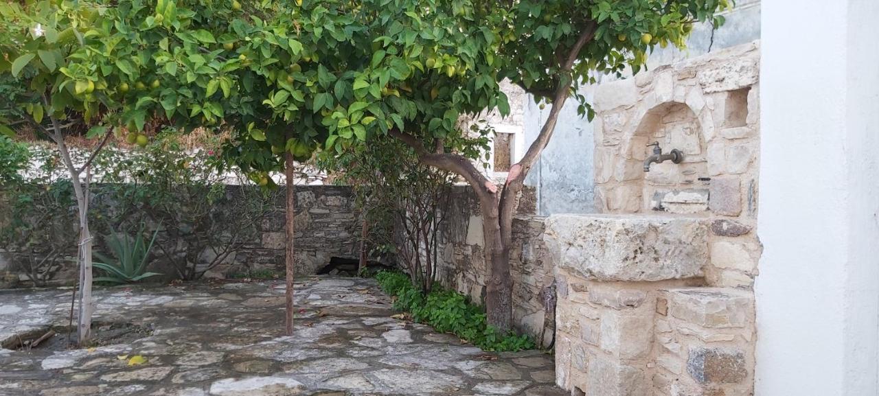 Small Traditional House In Asfendiou Kos Agios Dimitrios  Exteriér fotografie